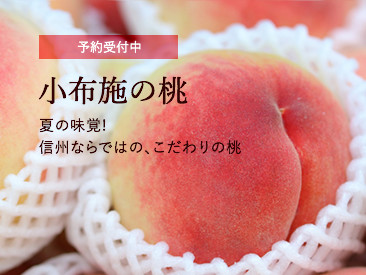 shop_top_peach